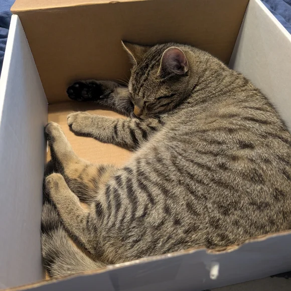 PROCAKE IS LIVE! SOS (SELL OUR SHIIIIIITE) SHOW! - Picture 8 of 16